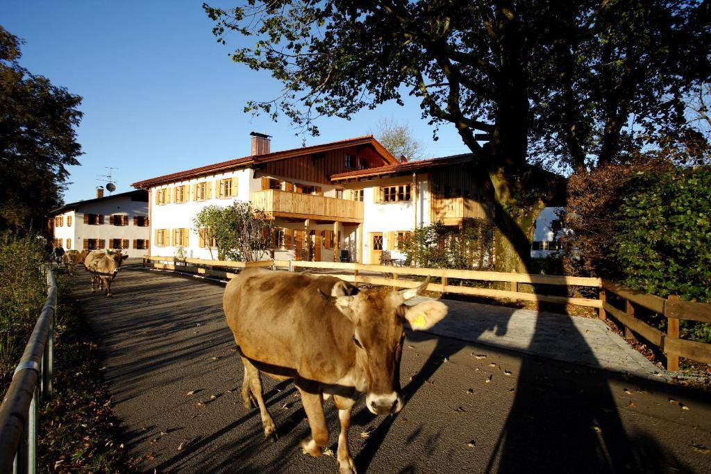 Luna Mia - Apartments Schwangau Bilik gambar