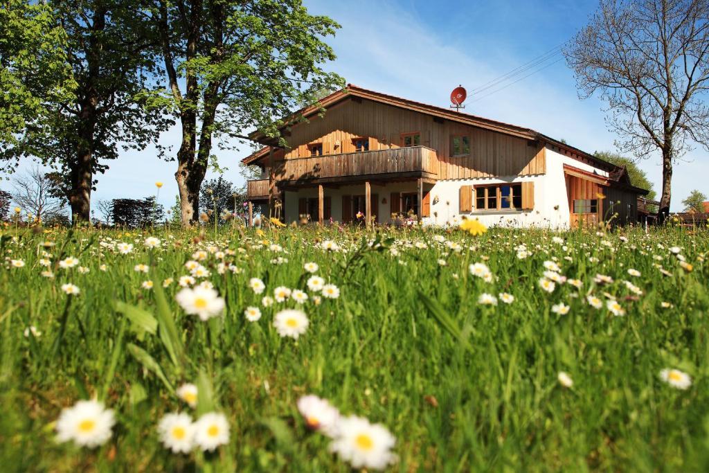 Luna Mia - Apartments Schwangau Luaran gambar